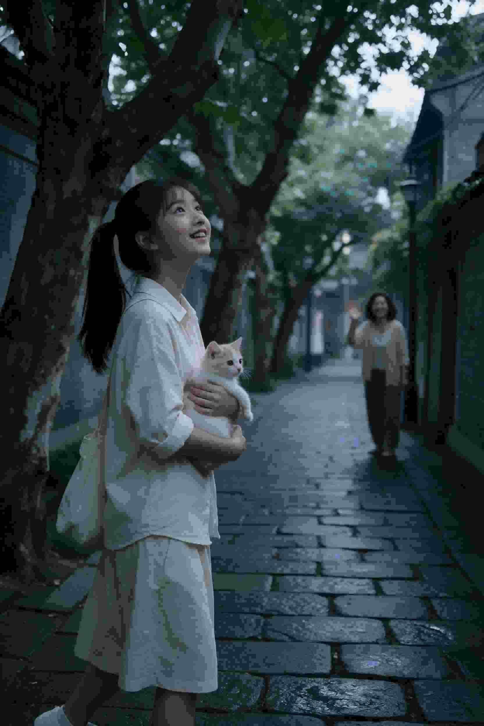 我的女友景甜