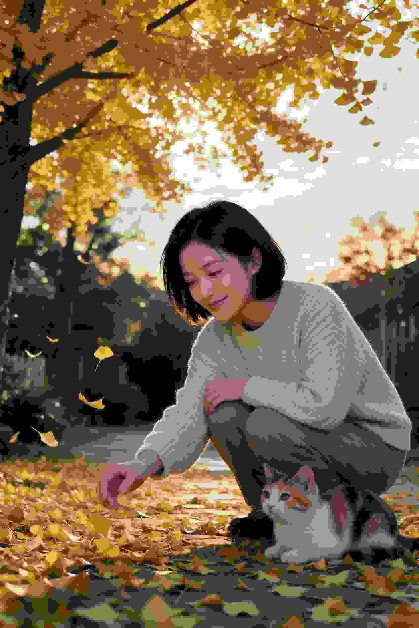 光年恋曲