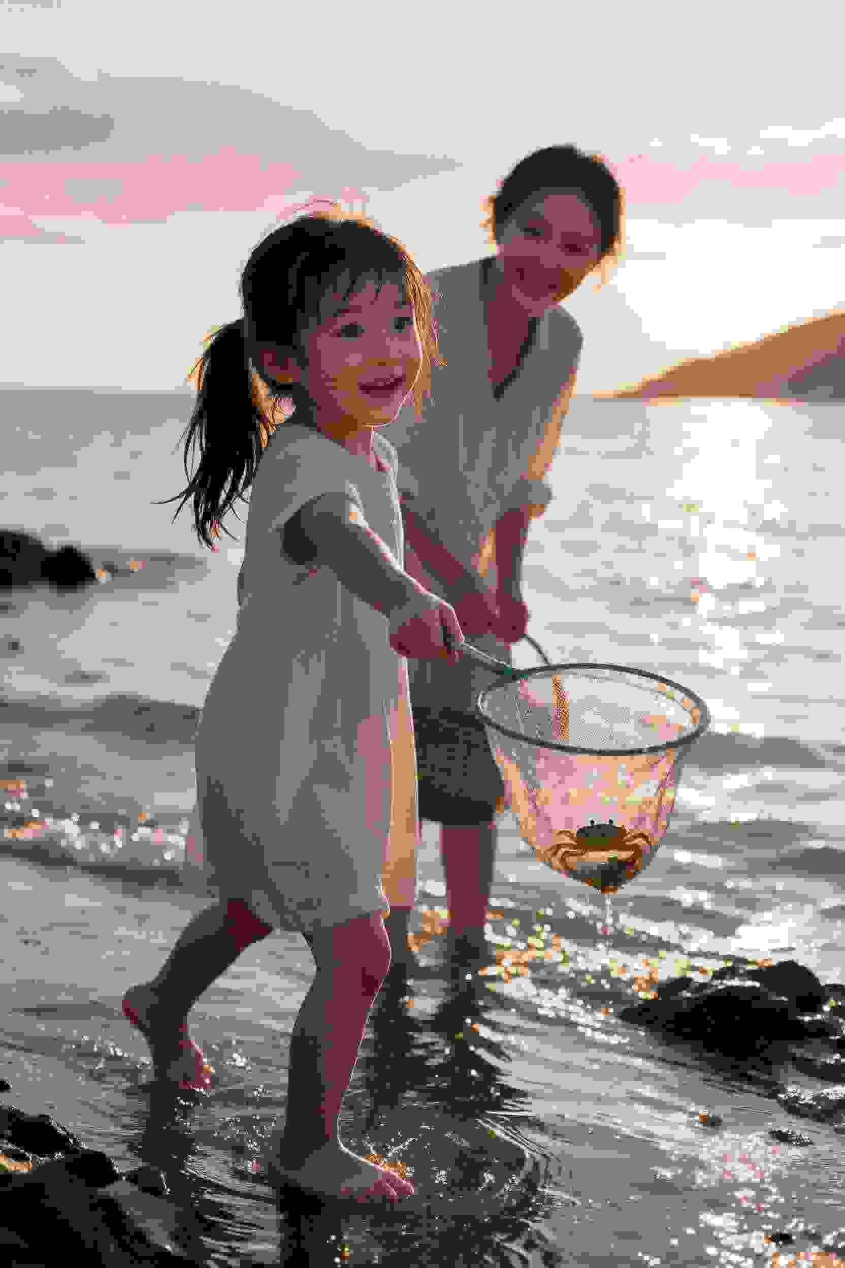 浪漫代码